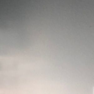 Meet your Posher, Abigail